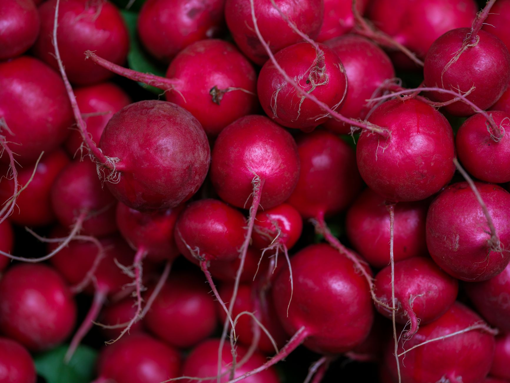radical-trapping antioxidants