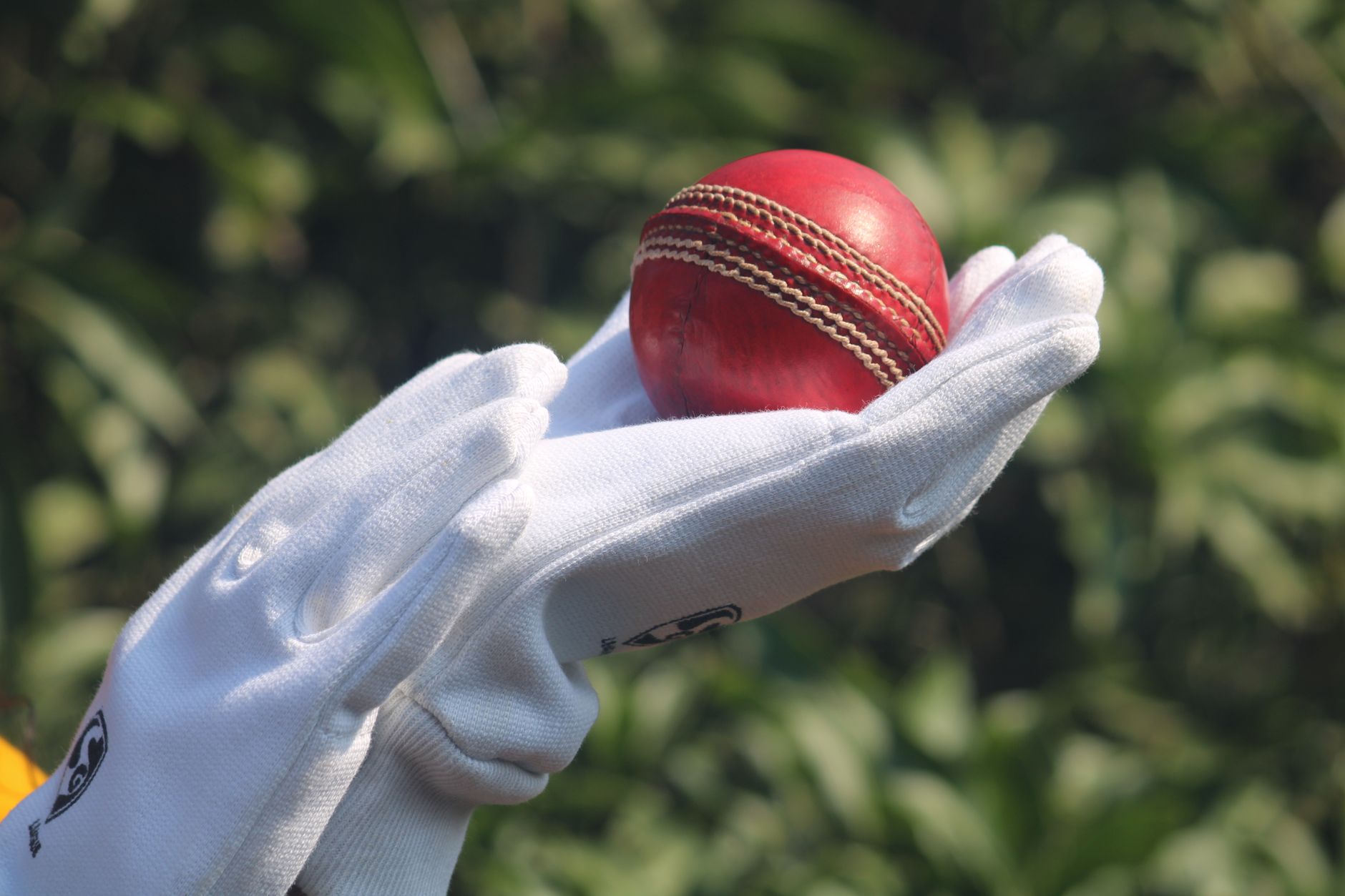 Greatest T20 Cricketer: Proven Talent of Indian Superstar